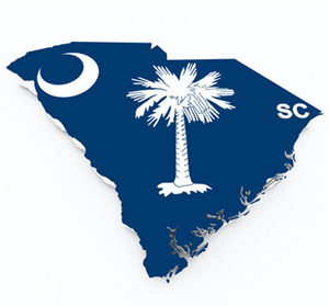 Karta och flagga över South Carolina i USA