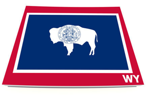Karta och flagga över Wyoming i USA