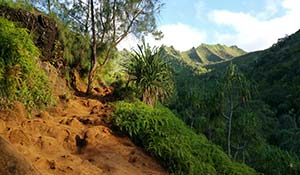 Kauai Kalalua Trail på Hawaii