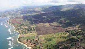 Skydive över Oahu på Hawaii