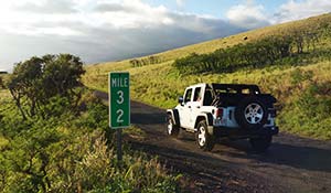 Hyrbil på Hawaii